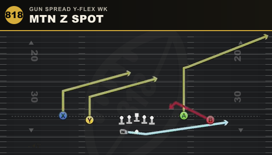 MTN Z SPOT from Gun Spread Y-Flex Wk