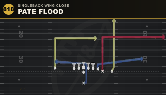 PATE FLOOD from Singleback Wing Close