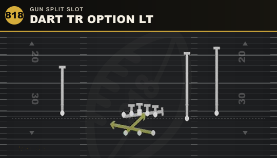 DART TR OPTION LT from Gun Split Slot