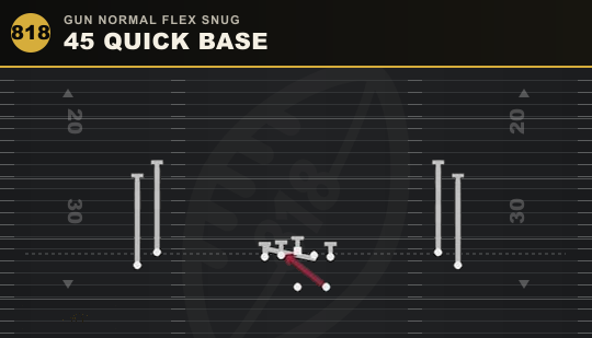 45 QUICK BASE from Gun Normal Flex Snug