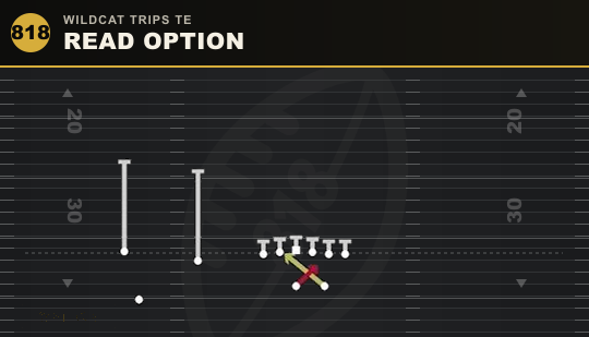 READ OPTION from Wildcat Trips TE