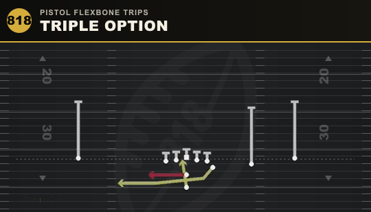 TRIPLE OPTION from Pistol Flexbone Trips