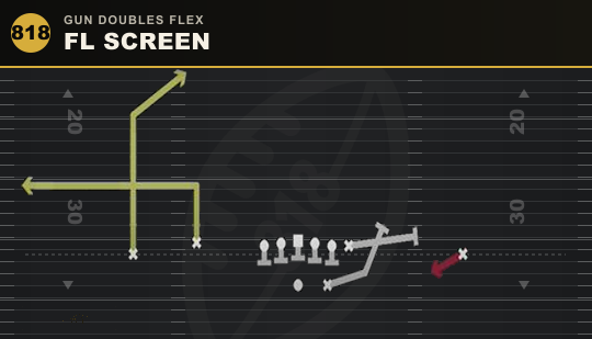 FL SCREEN from Gun Doubles Flex