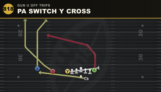 PA SWITCH Y CROSS from Gun U Off Trips