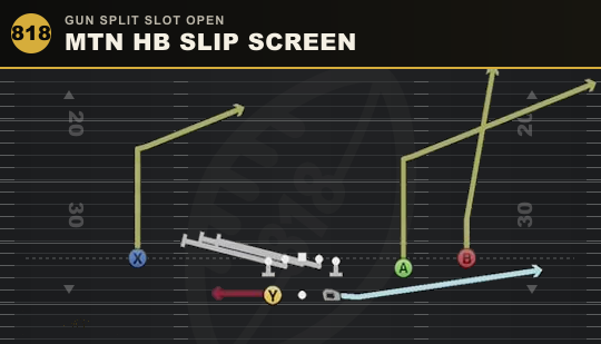 MTN HB SLIP SCREEN from Gun Split Slot Open