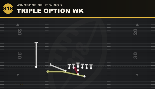 TRIPLE OPTION WK from Wingbone Split Wing X