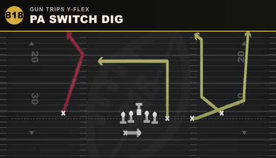 PA SWITCH DIG from Gun Trips Y-Flex
