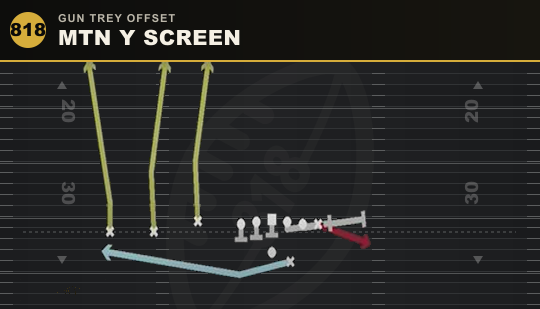 MTN Y SCREEN from Gun Trey Offset