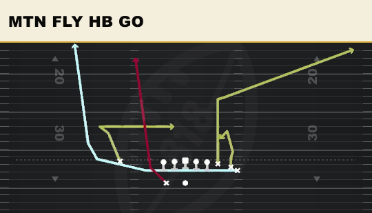 MTN FLY HB GO from Bunch Y-Trips