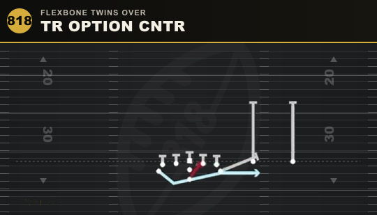 TR OPTION CNTR from Flexbone Twins Over
